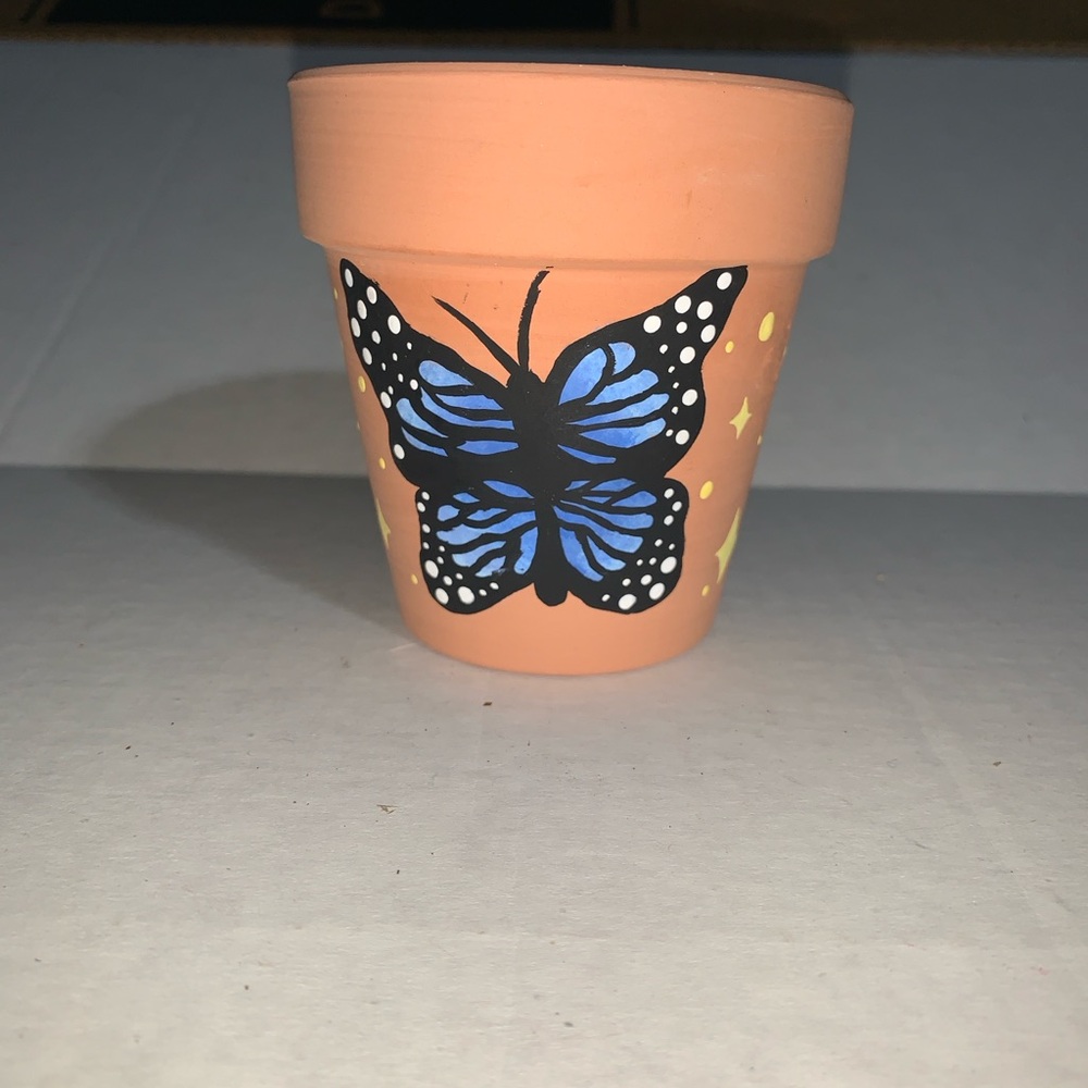 Hand-Painted Butterfly Terracotta Pot